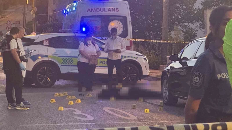 Sokak ortasında çifte cinayet: Baba ve oğul hayatını kaybetti
