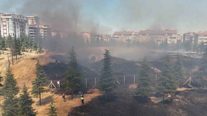 Edirne’de çıkan yangın tarihi tabyaya zarar verdi
