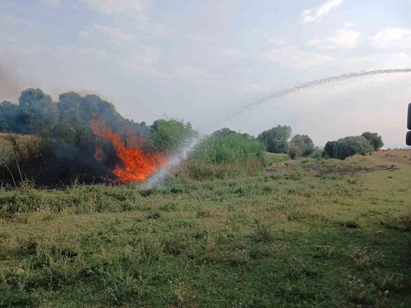 Ağaçlık alanda çıkan yangın itfaiye ekiplerince söndürüldü

