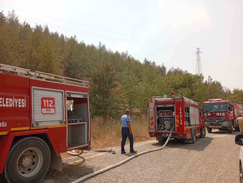 Nizip Belkız Köyü mesire alanında yangın

