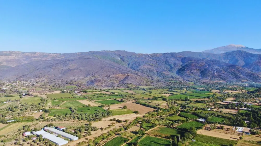 3 gündür devam eden orman yangını sonrası Ödemiş’in dağları siyaha büründü