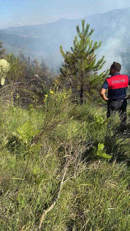 Sinop’ta çıkan orman yangını büyümeden söndürüldü

