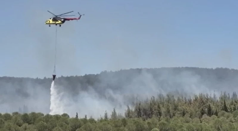 Çanakkale’de orman yangını
