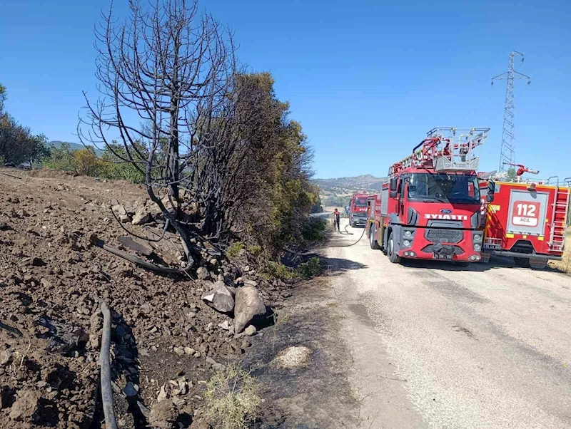 Burdur’da ceviz bahçesi ve 5 dönüm tarım arazisi yandı
