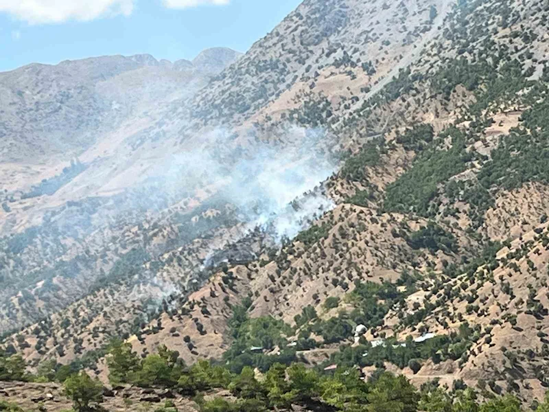 Bingöl’deki orman ve arazi yangınları söndürüldü
