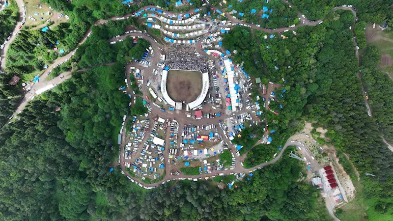 Artvin’in Kafkasör Yaylası’nda boğaların 44. randevusu nefes kesti
