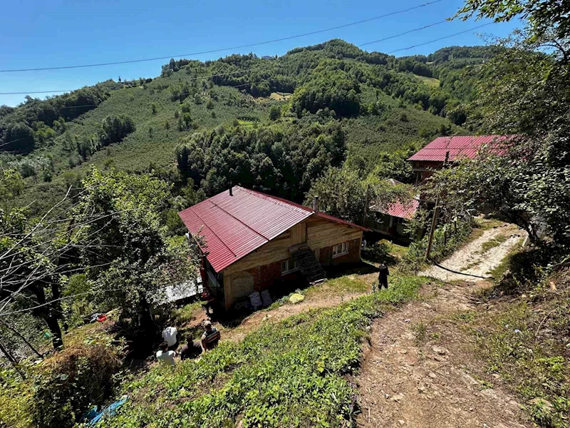 Ordu’ya şehit ateşi düştü

