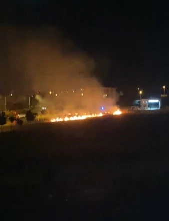 Hava fişekten çıkan yangın paniğe sebep oldu
