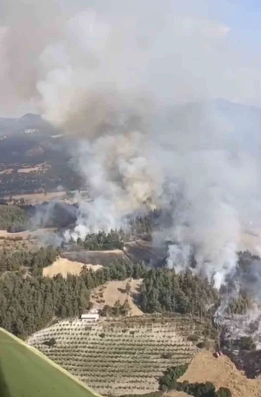 Balıkesir’de orman yangını

