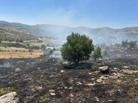 Elazığ’da otluk alanda çıkan yangın söndürüldü
