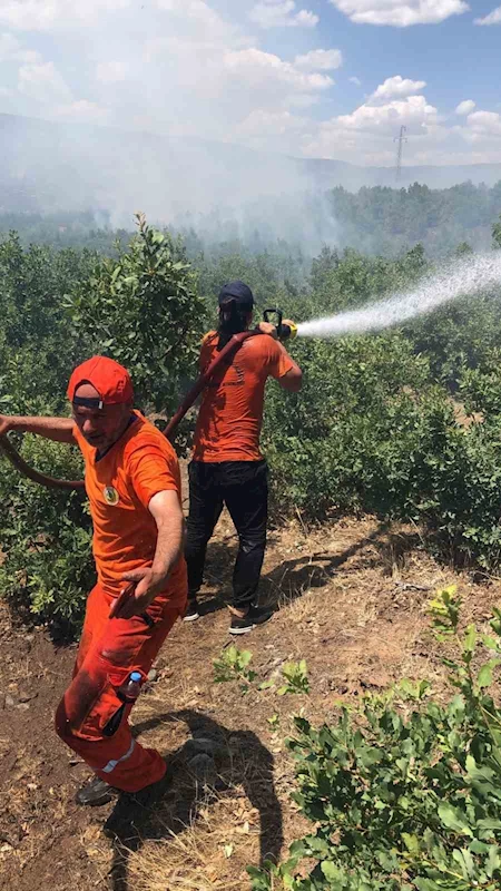 Bingöl’deki orman yangını kontrol altına alındı
