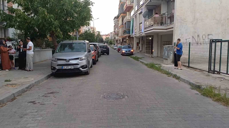 Balıkesir’deki deprem Aydın’da da hissedildi
