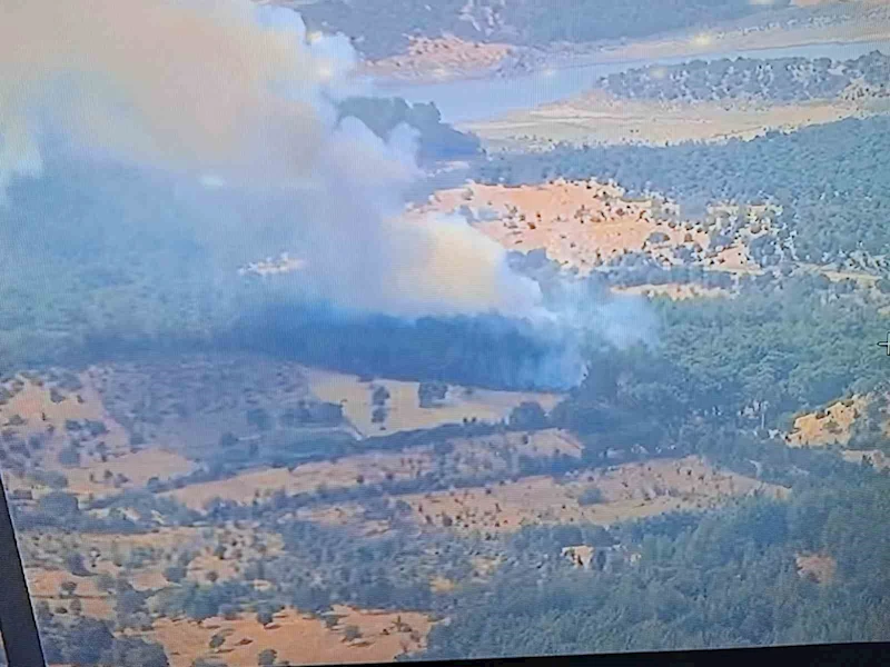 Ayvacık’ta ormanlık alanda yangına, müdahale devam ediyor
