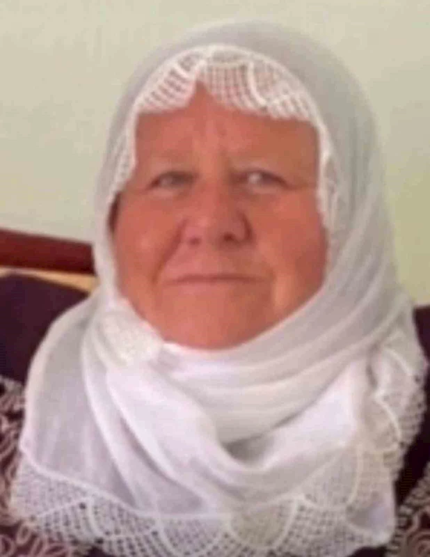 Mardin’de otomobilin çarptığı kadın hayatını kaybetti
