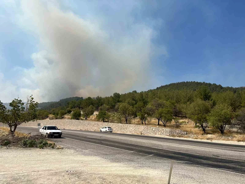 Adıyaman’da orman yangını

