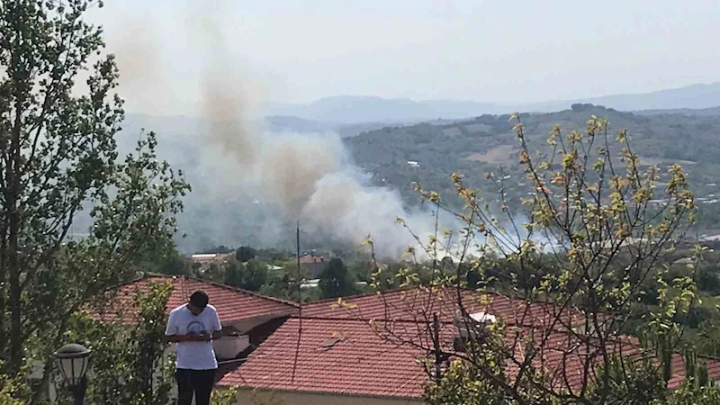 Bartın’da peş peşe yangınlar çıktı
