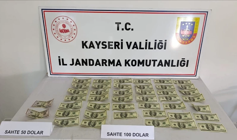 Jandarmadan sahte döviz operasyonu
