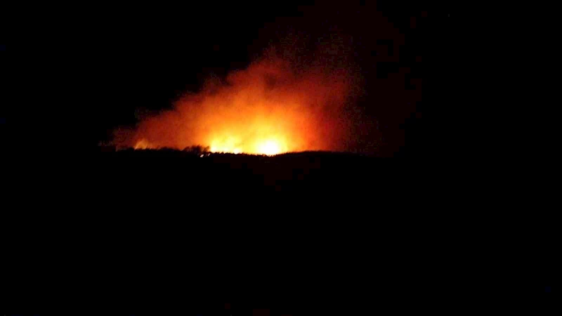 Çanakkale’de orman yangını
