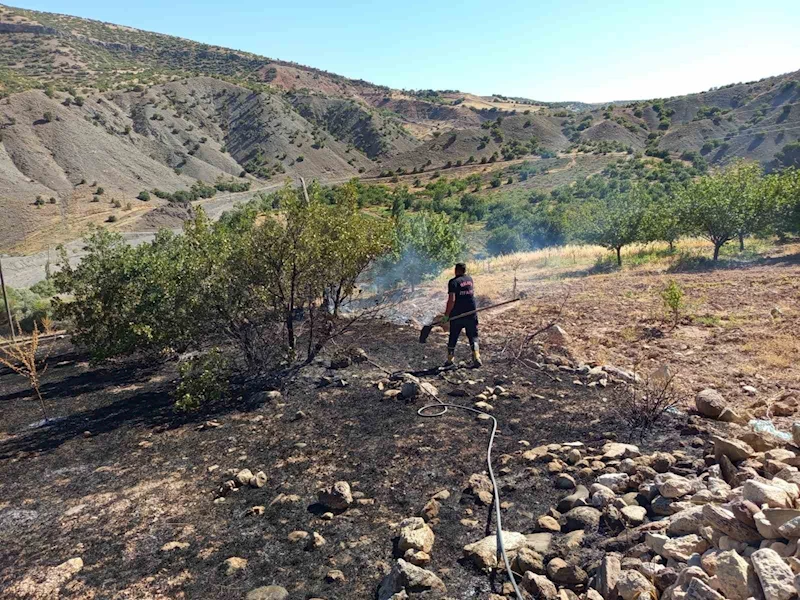 Hekimhan’da ormanlık alanda çıkan yangın söndürüldü

