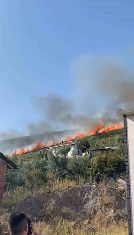 Bursa’da orman yangını...

