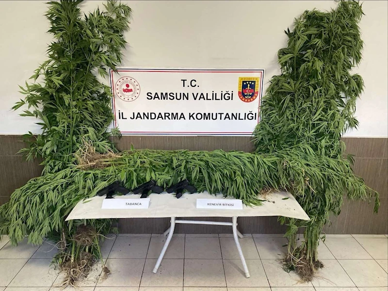 Samsun’da jandarmadan silah ve uyuşturucu operasyonları: 4 gözaltı
