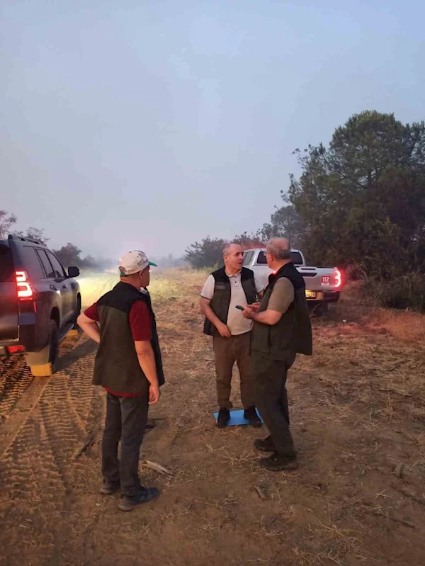 Çanakkale Valisi Toraman yangından etkilenen köyde incelemelerde bulundu
