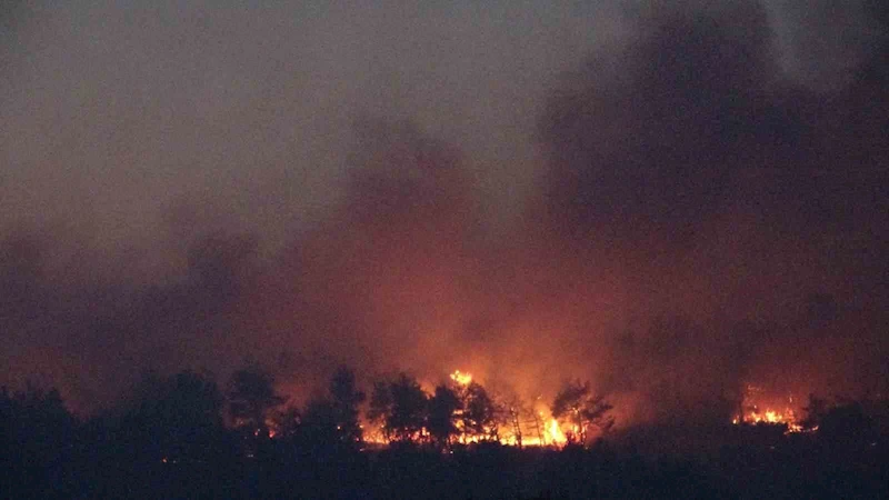 Çanakkale’deki orman yangınına karadan müdahale devam ediyor
