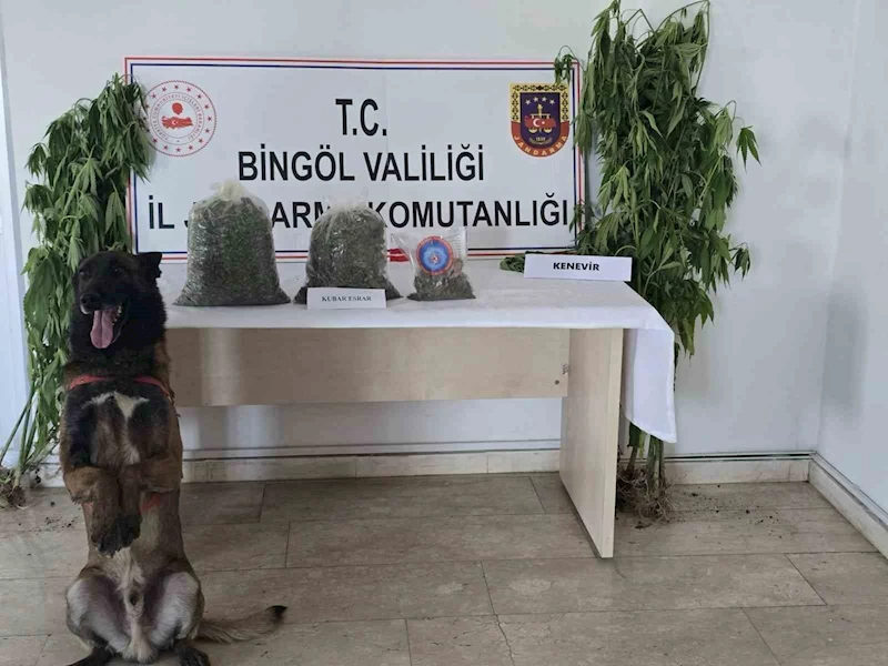 Bingöl’de uyuşturucuyla mücadele
