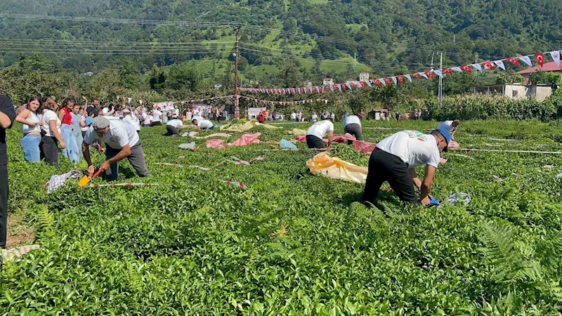 Güneyden Antep’in zılgıtı ve kuzeyden Artvin’in tulum sesi çaylıkta buluştu
