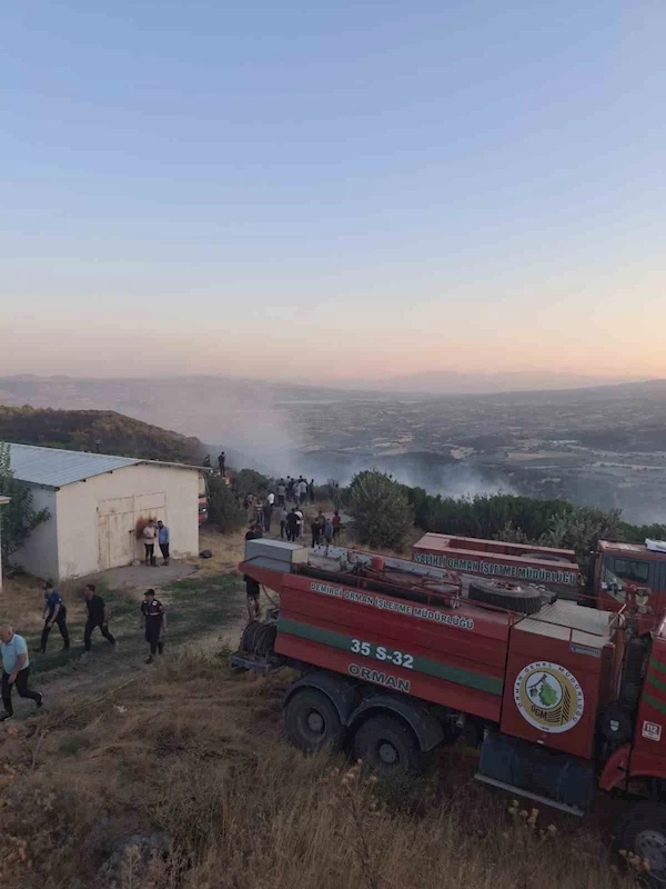 Manisa’da orman yangını
