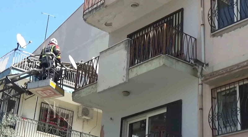 Sevimli kediyi kurtarmak için tüm ekipler seferber oldu, o kurtarılacağı anda atlayıp gitti
