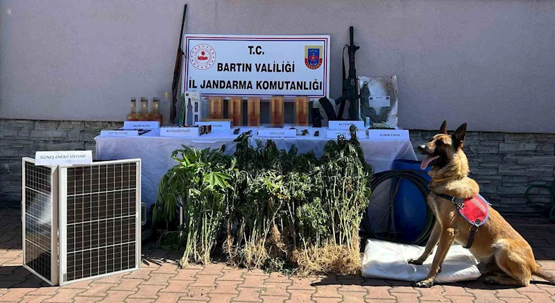 Kurucaşile’deki uyuşturucu operasyonunda 1 kişi tutuklandı
