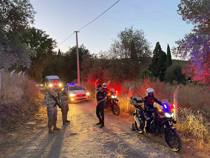 Jandarma incir hırsızlarına geçit vermiyor
