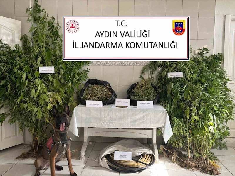 Bozdoğan’da uyuşturucu operasyonu: 