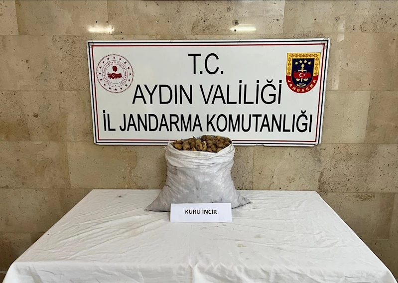 Motosikletli incir hırsızı jandarmadan kaçamadı
