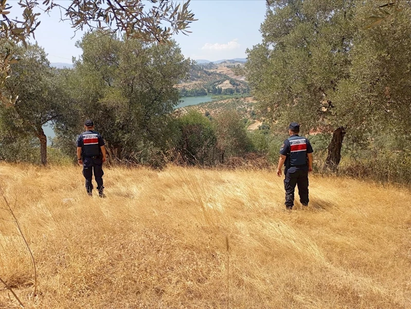 Aydın’da ormanlar jandarma gözetiminde
