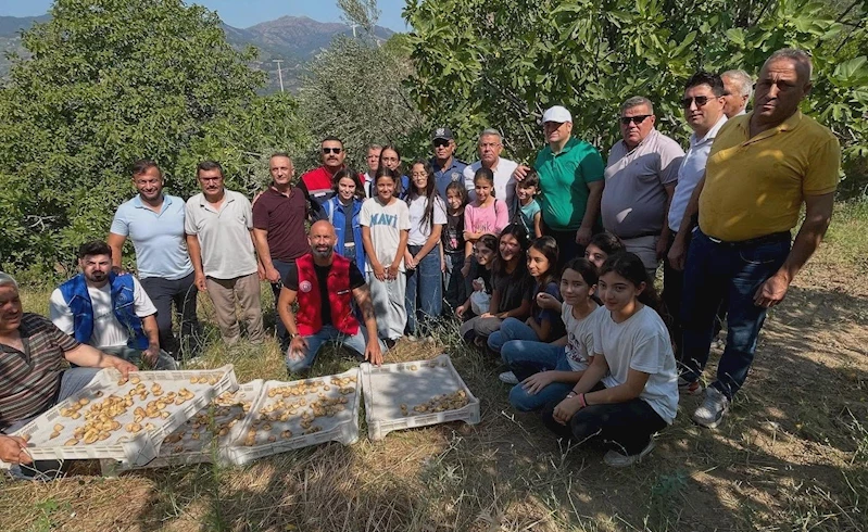 Köşk’te gönüllü hasat şenliği gerçekleştirildi
