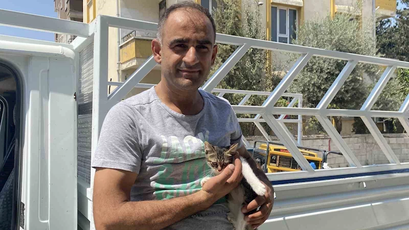 Ağaçta mahsur kalan yavru kedi vatandaşın dikkatiyle kurtarıldı
