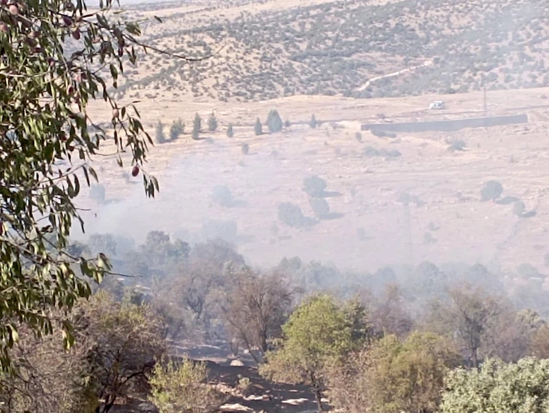 Mardin’de çıkan orman yangını söndürüldü
