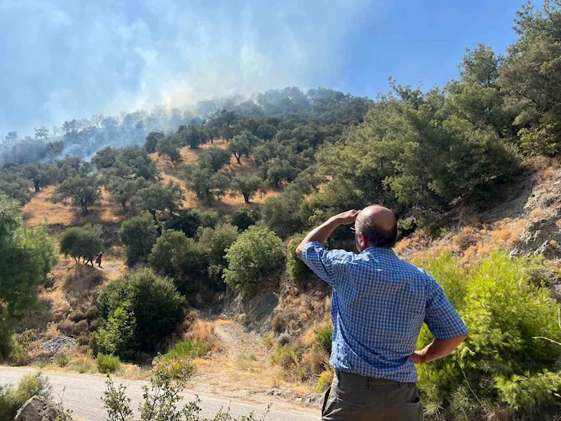 Aydın’da zirai alan yangını: 30 dönüm alan zarar gördü
