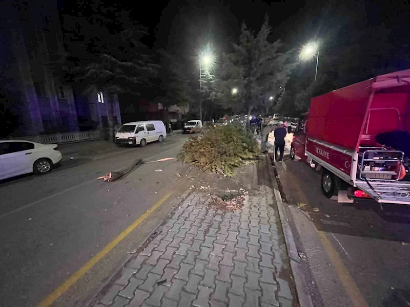 Takla atan otomobilden çıkartılan sürücünün ilk sözü: 