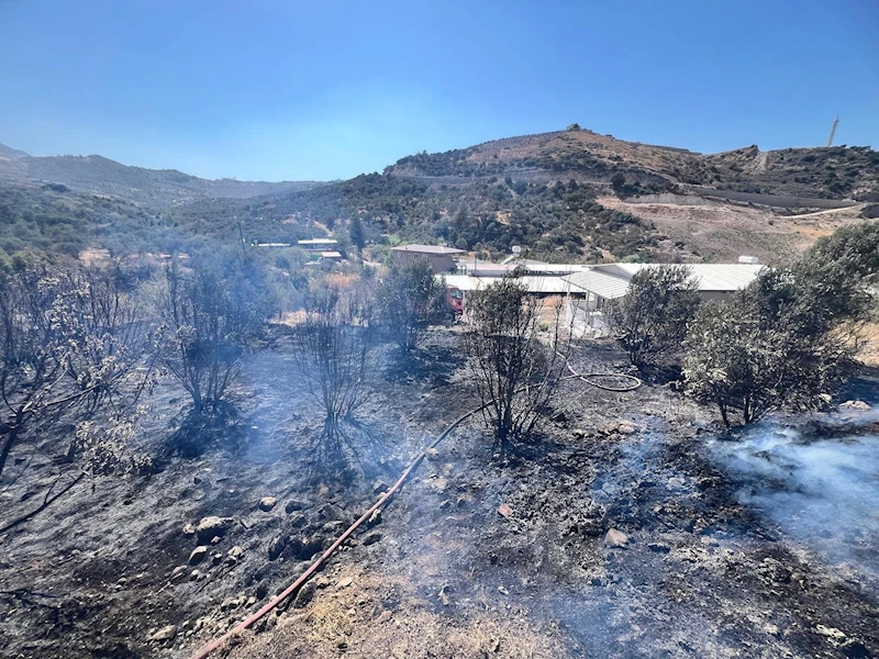 Antakya’da bahçe yangını
