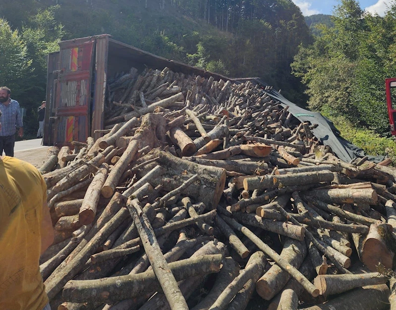 Ordu’da tomruk kamyonu devrildi: 21 ton tomruk yola saçıldı
