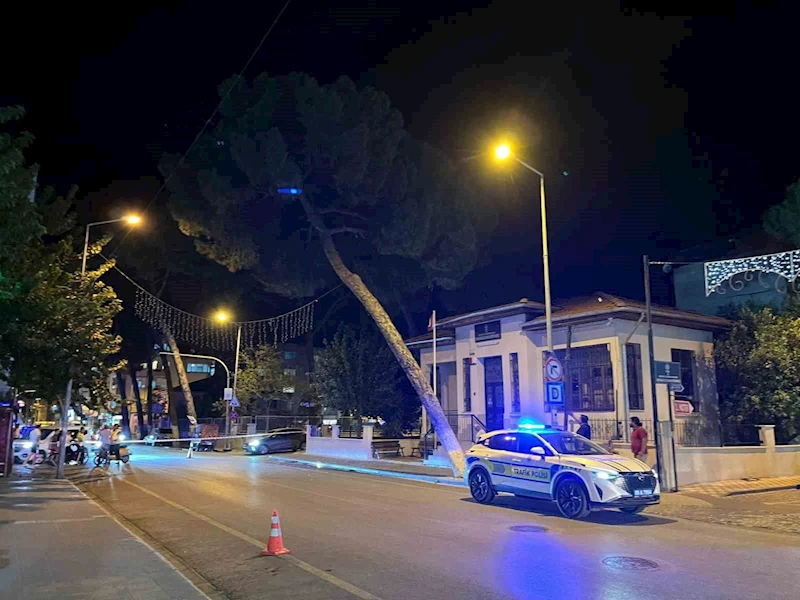 İncirliova’da çam ağacı kuvvetli rüzgara dayanamadı
