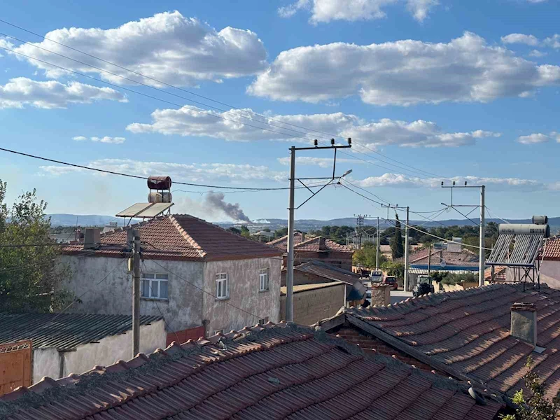 Çanakkale’de orman yangını çıktı
