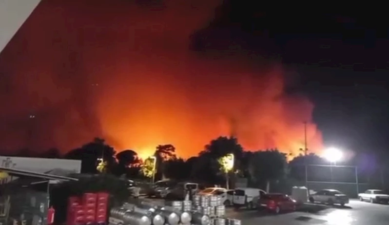 Antalya Aksu’da ormanlık alanda yangın
