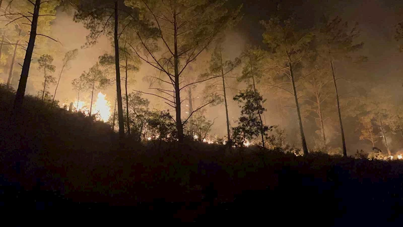 Alanya’da ormanlık alandaki yangın
