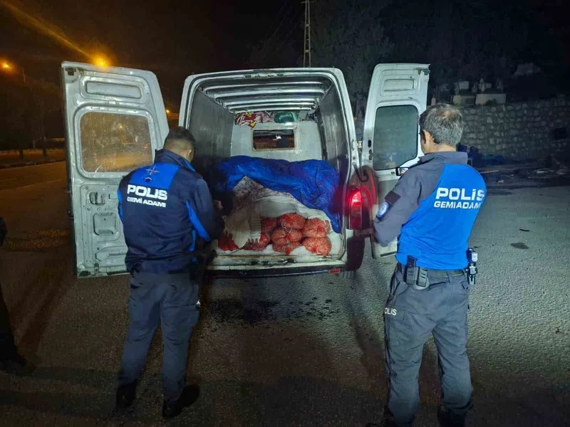 Samsun’da 5 ton kaçak midye ele geçirildi
