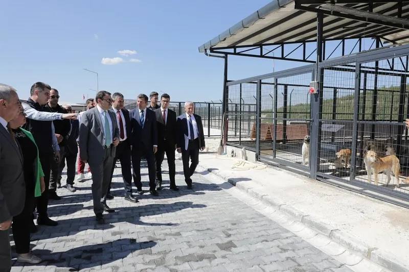 Kütahya Valisi Işın’dan Şaphane’de yapımı tamamlanan hayvan barınağında inceleme
