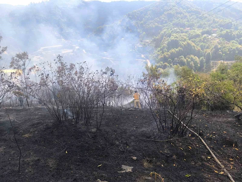 Zonguldak’ta 2 dekarlık alanda örtü yangını
